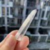 Brazilian Lemurian BLM101 2