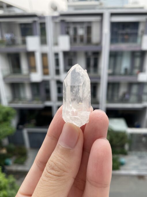 Brazilian Lemurian BLM102 1