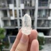 Brazilian Lemurian BLM102 1
