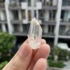 Brazilian Lemurian BLM102 2
