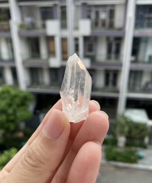 Brazilian Lemurian BLM102 2