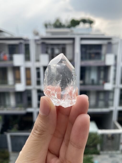 Brazilian Lemurian BLM105 1