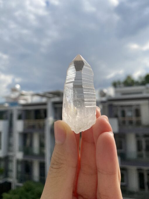 Brazilian Lemurian BLM98 1