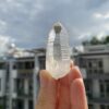 Brazilian Lemurian BLM98 1