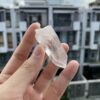 Brazilian Lemurian BLM98 5