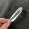 Brazilian Lemurian BLM99 2