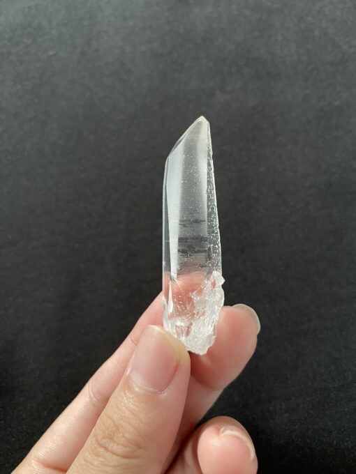 Brazilian Lemurian BLM99 3