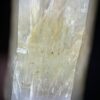 Mango Quartz Crystal 6.9g - CMQ3 4