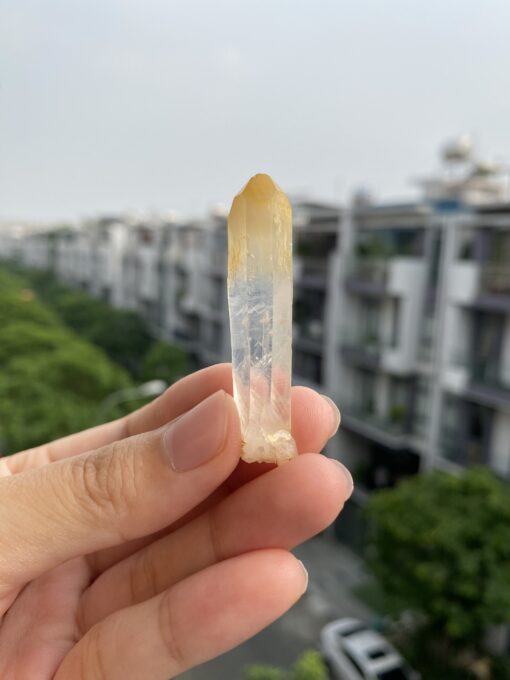 Mango Quartz CMQ5 1