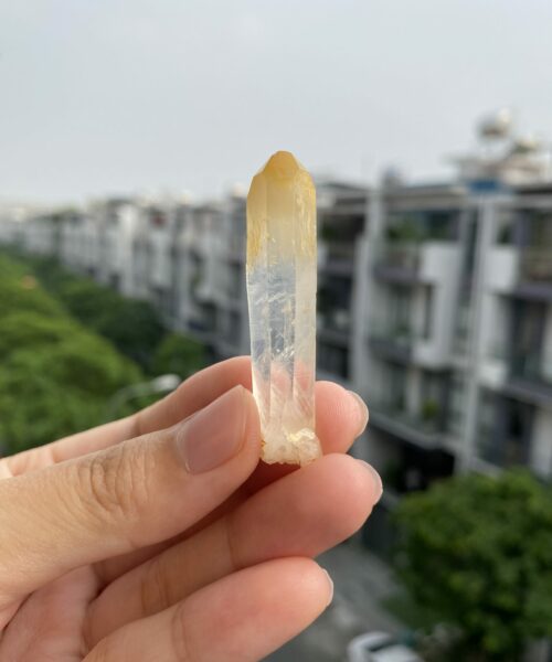 Mango Quartz CMQ5 1