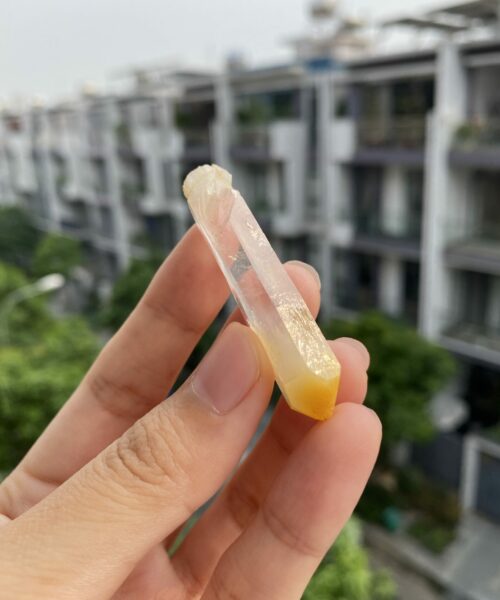 Mango Quartz CMQ5 3