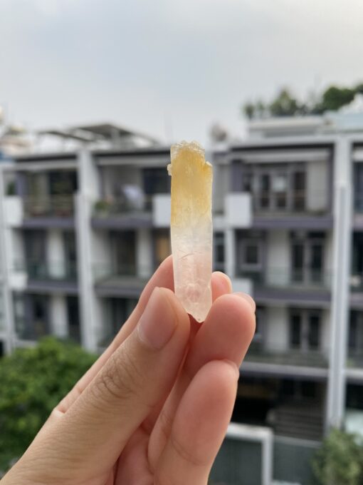 Mango Quartz CMQ7 1