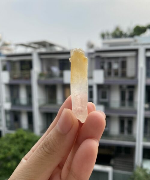 Mango Quartz CMQ7 1