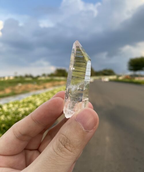 Cầm đá Lemurian ngoài trời - COLM4802