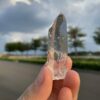 Lemurian tuyệt đẹp dưới nắng - COLM4802