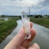 Colombian Lemurian DT - COLM61