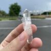 Colombian Lemurian COLM61