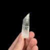 Colombian Lemurian Barnacle - COLM60 4