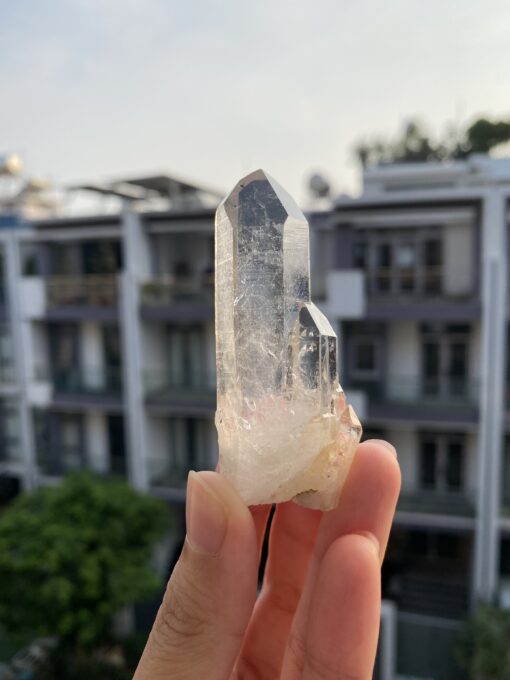 Lemurian Viet Nam - LMV27 1