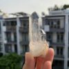 Lemurian Viet Nam - LMV27 1