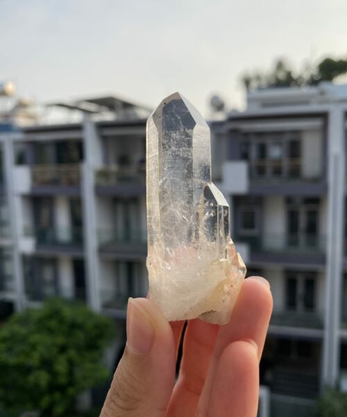 Lemurian Viet Nam - LMV27 1