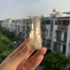 Lemurian Viet Nam - LMV27 2