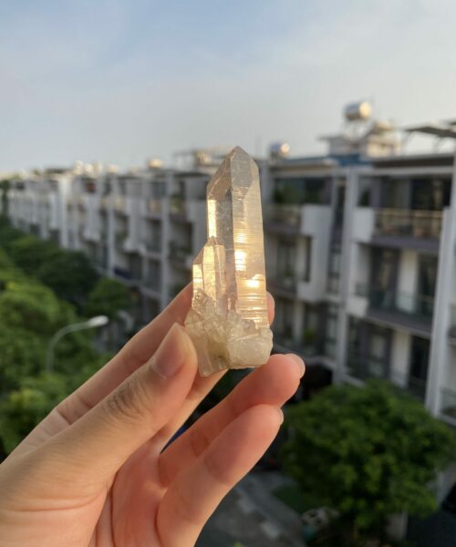 Lemurian Viet Nam - LMV27 2