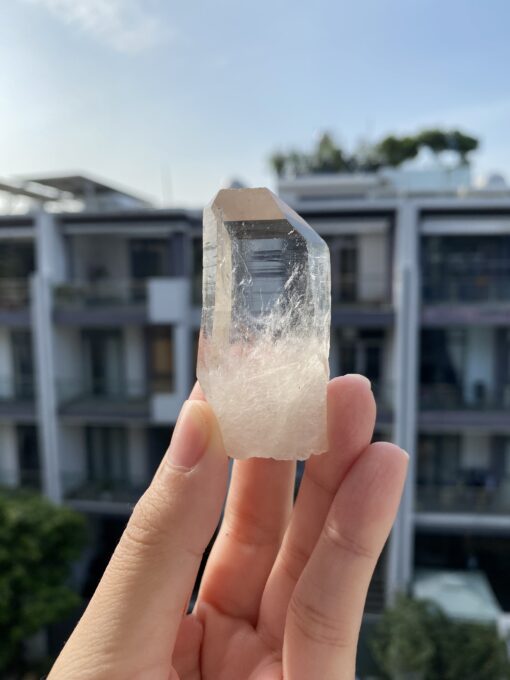 Lemurian Viet Nam - LMV28 1