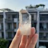 Lemurian Viet Nam - LMV28 1