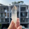 Lemurian Viet Nam - LMV28 3