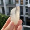 Lemurian Viet Nam - LMV28 4