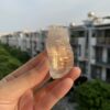 Lemurian Viet Nam - LMV28 5