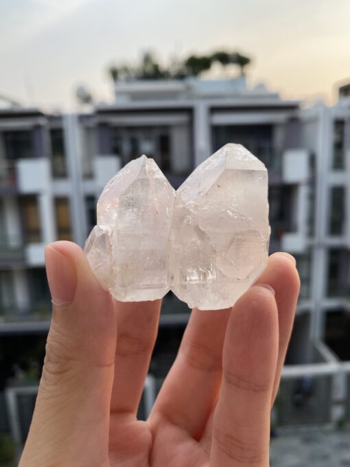 Lemurian Viet Nam - LMV29 1