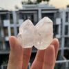 Lemurian Viet Nam - LMV29 1