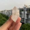 Lemurian Viet Nam - LMV29 3