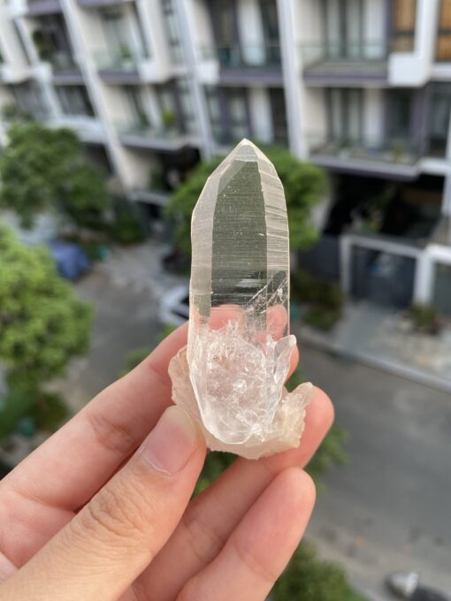 Lemurian Viet Nam - LMV30 1