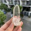 Lemurian Viet Nam - LMV30 1