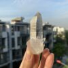 Lemurian Viet Nam - LMV30 3