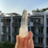 Lemurian Viet Nam - LMV30 4