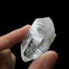 Lemurian VN LMV24 6