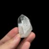 Lemurian VN LMV24 8