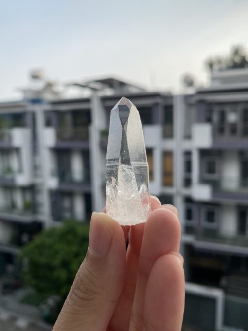 Lemurian VN LMV26 - 1