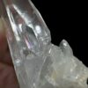 Lemurian VN - LMV30 9