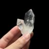 Lemurian VN - LMV31 1