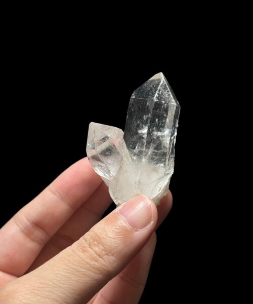 Lemurian VN - LMV31 1