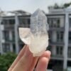 Lemurian VN - LMV31 2