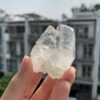 Lemurian VN - LMV31 3
