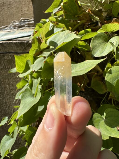 Mango Quartz CMQ2 5