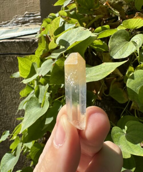 Mango Quartz CMQ2 5