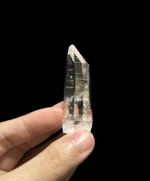 Penas Blancas Lemurian COLM4802